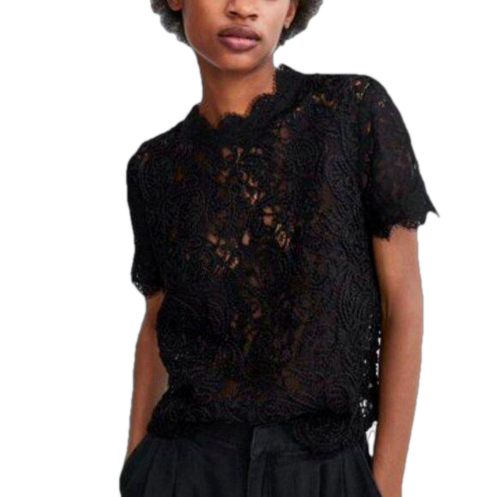 Zara Sheer Black Lace Scalloped Neck and Hem Top